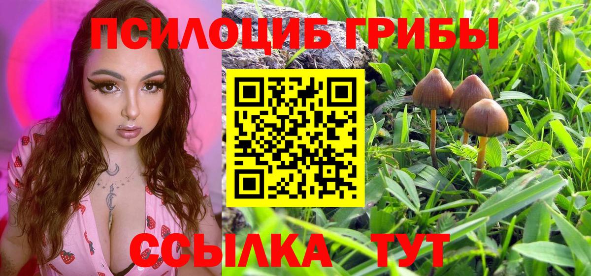Псилоцибиновые грибы мицелий  Вход с VPN  Дивногорск 