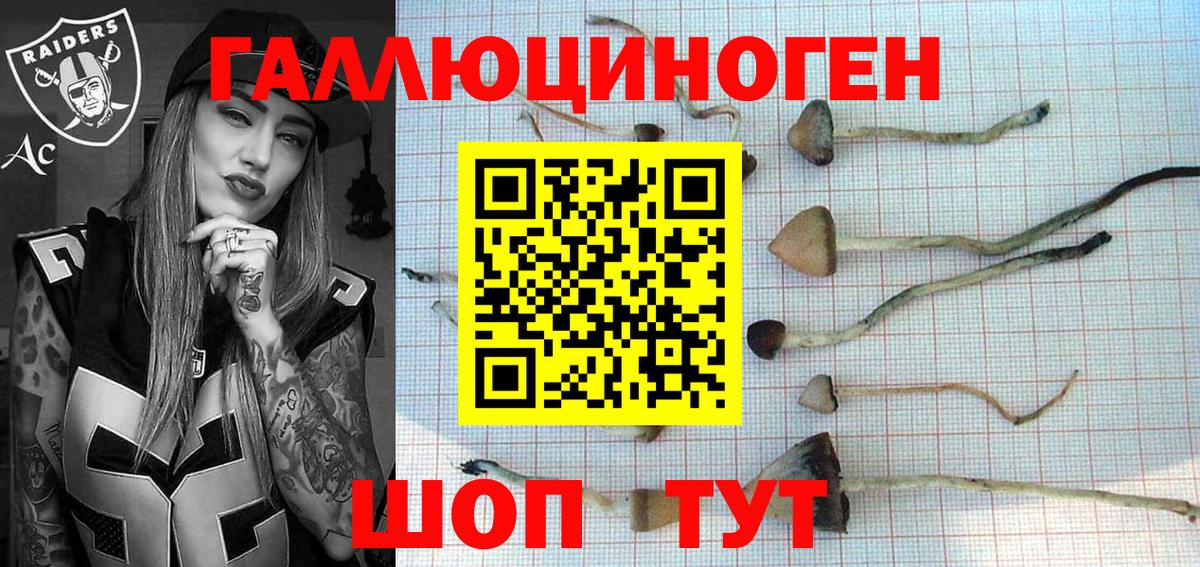 МЕТАМФЕТАМИН  Меф кристаллы  ГАШ  Вход с VPN  Дивногорск  Каннабис  Как найти закладки? 